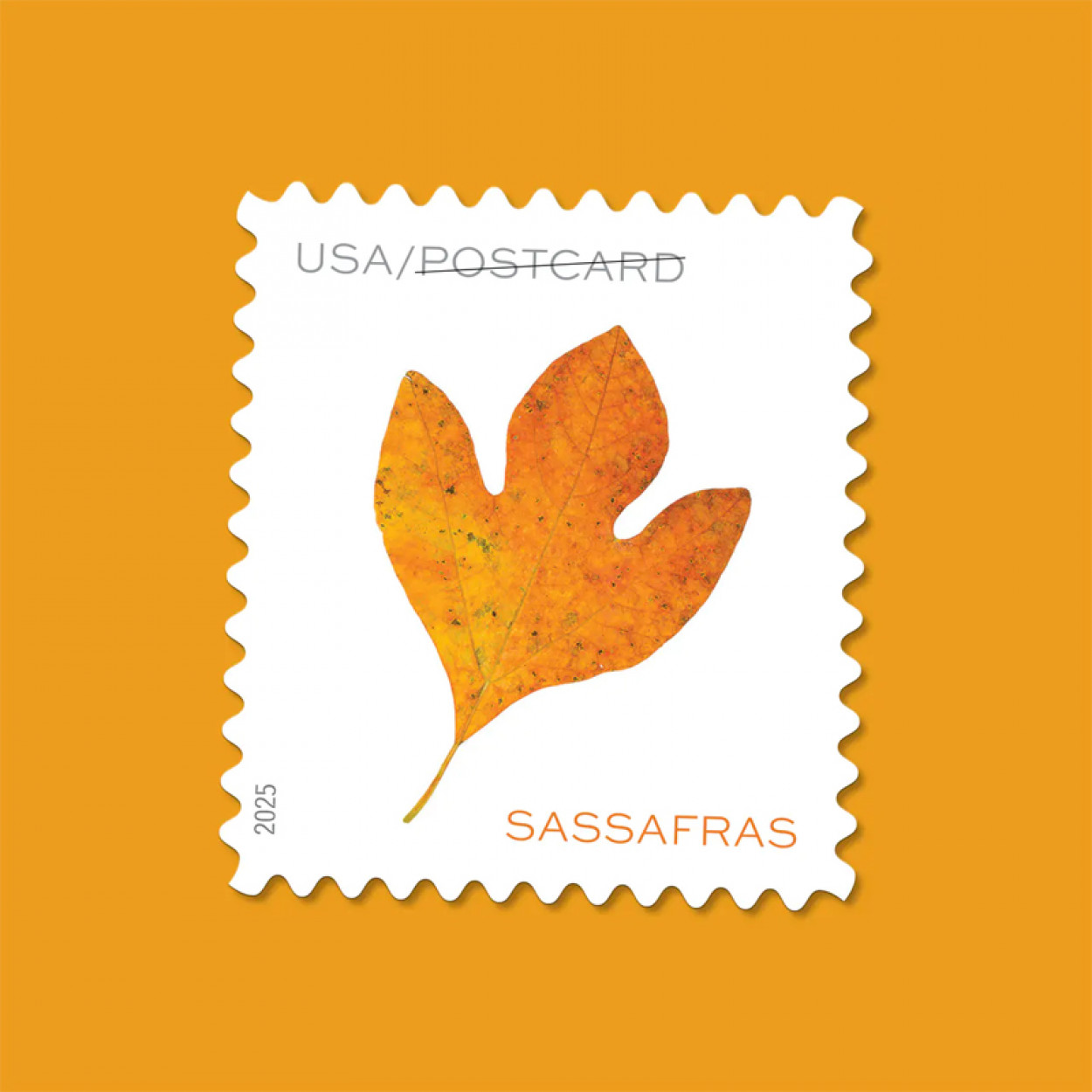 2025 Vibrant Leaves Postcard Stamps, Sheetof 20 Postcard |Multiple Stamp Designs and Formats